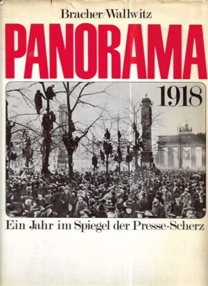 bracher i wallwitz: panorama 1918, ein jahr im spiegel der presse