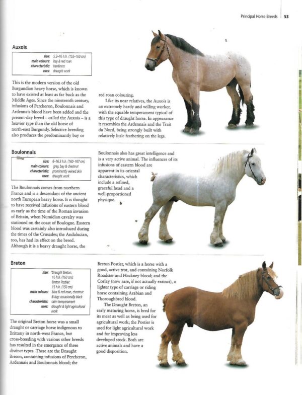 elizabeth peplow: encyclopedia of the horse