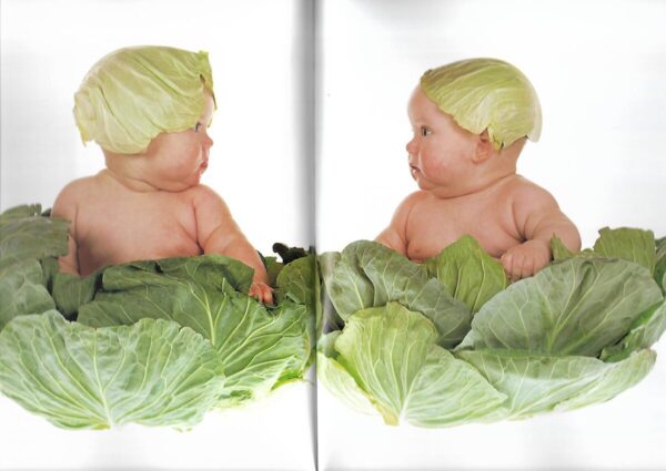 anne geddes: willkommen!