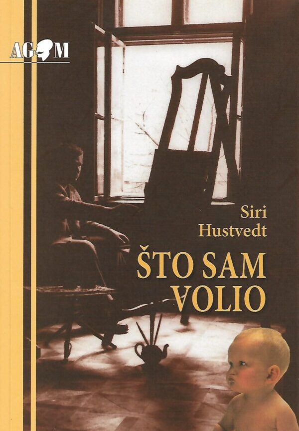 siri hustvedt: Što sam volio