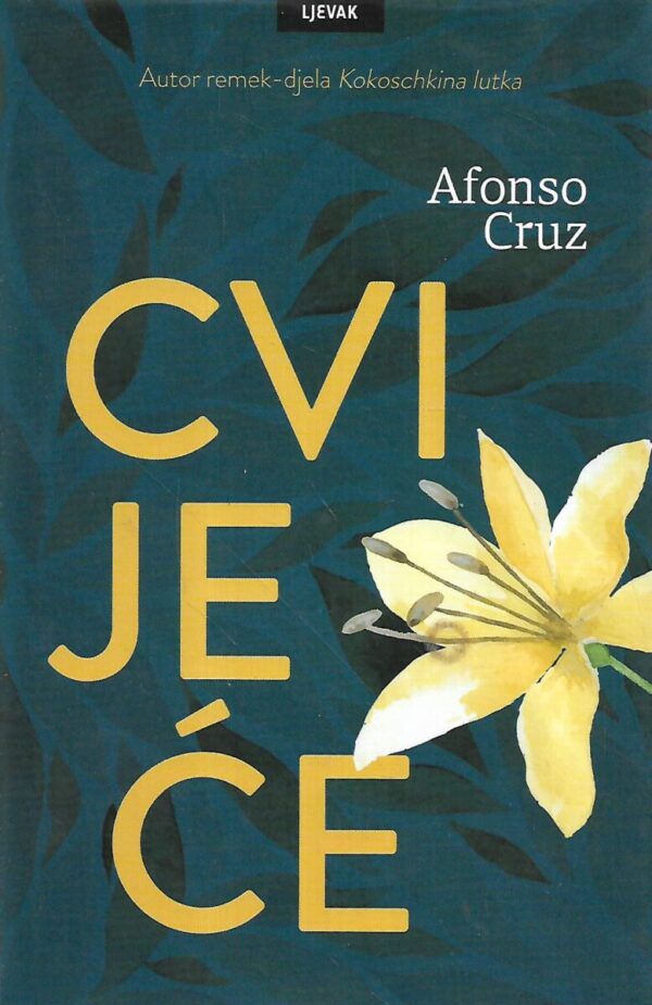 afonso cruz: cvijeće