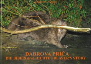 josip horvat majzek: dabrova priča- die bibergeschichte - beaver's story