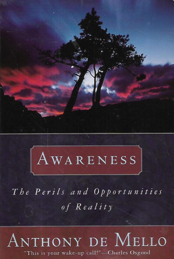 anthony de mello: awareness: the perils and opportunities of reality