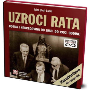 ivica (ivo) lučić: uzroci rata