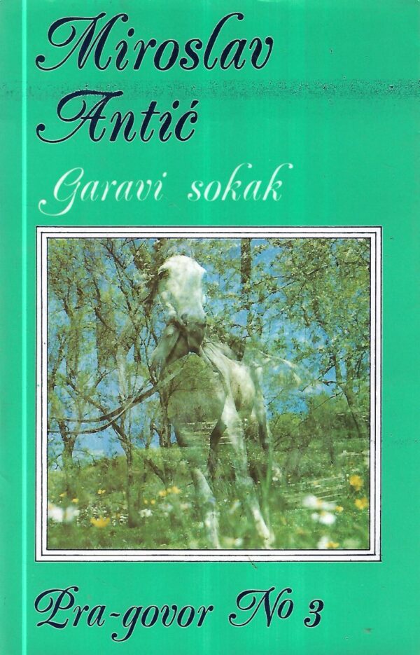 miroslav antić: garavi sokak