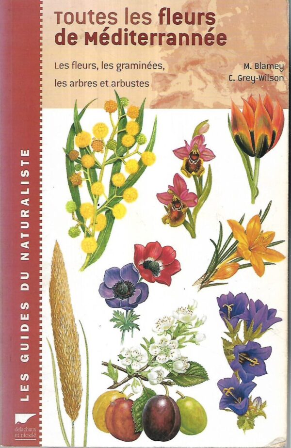 toutes les fleurs de mediterrannee