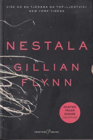 gillian flynn: nestala