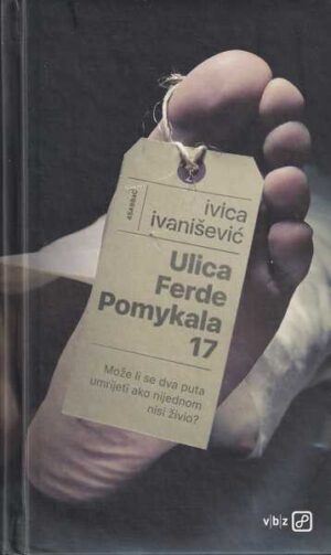 ivica ivanišević: ulica ferde pomykala 17