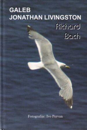 richard bach: galeb jonathan livingston