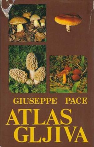 giuseppe pace: atlas gljiva