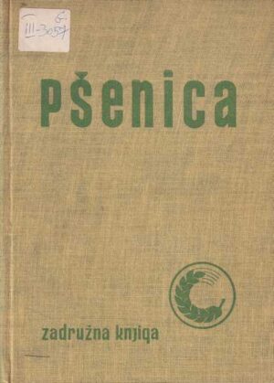 pšenica