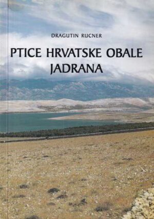 dragutin rucner-ptice hrvatske obale jadrana