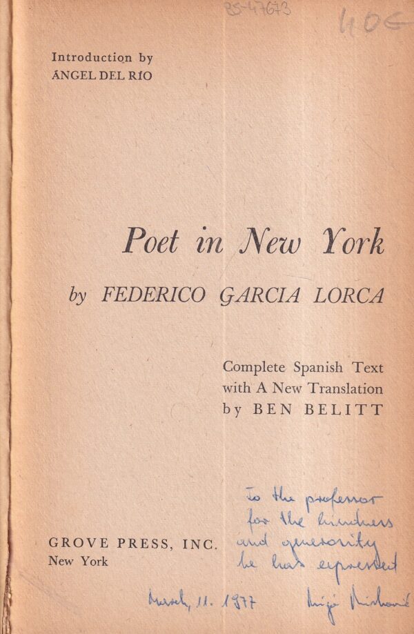 federico garcia lorca: poet in new york