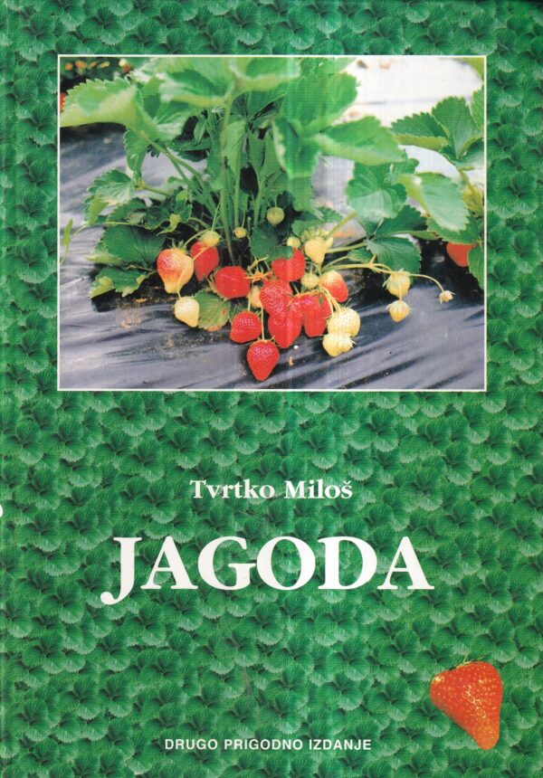 tvrtko miloš: jagoda