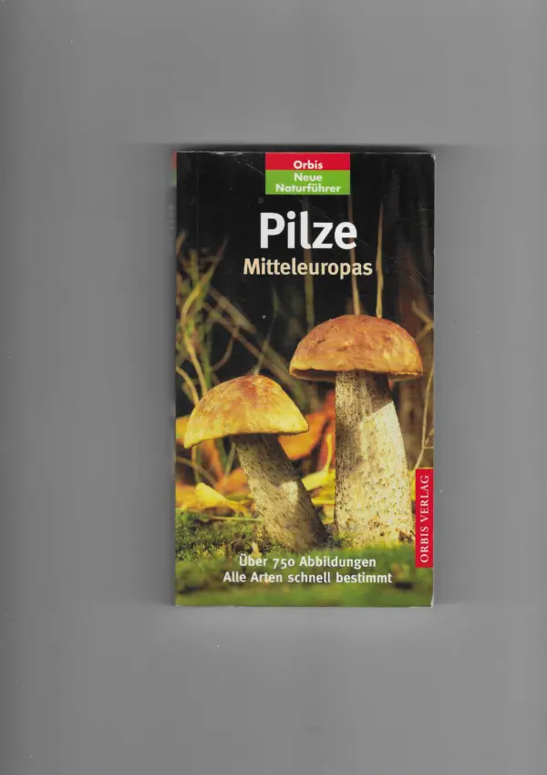 brian spooner: pilze