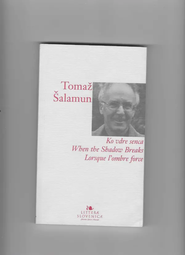 tomaž Šalamun: when the shadows breaks