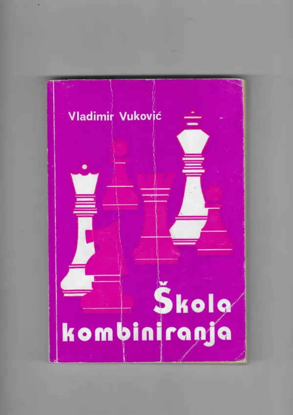 vladimir vuković: Škola kombiniranja