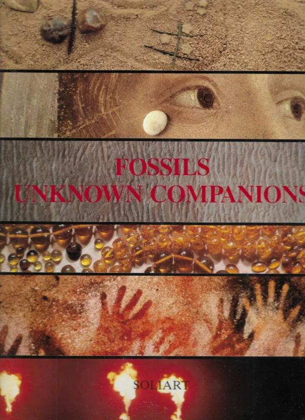 Enrico Annoscia: Fossils, Unknown Companions